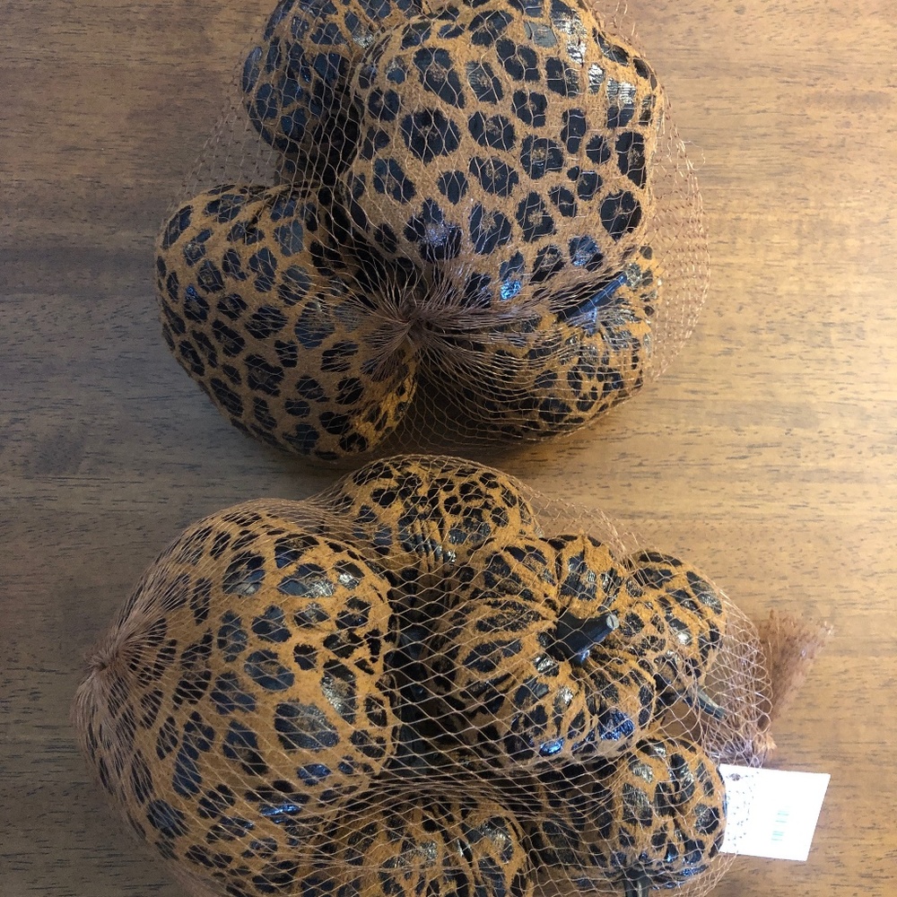 2x Animal/Leopard/Cheetah Print Pumpkins Set of 6 in Bag